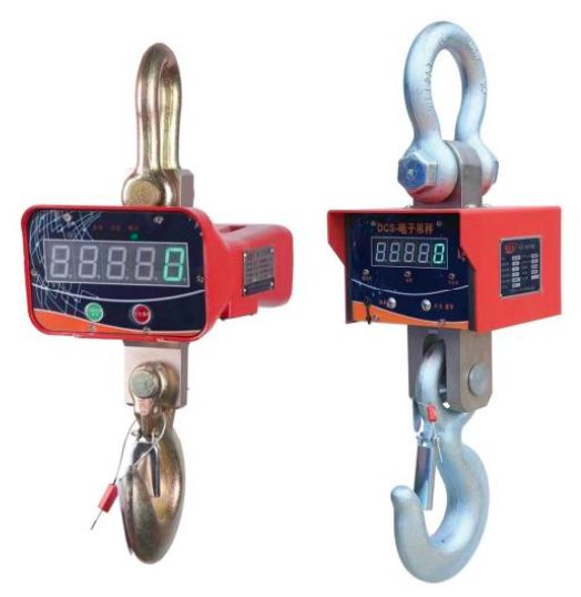 Electronic Hanging Scale
